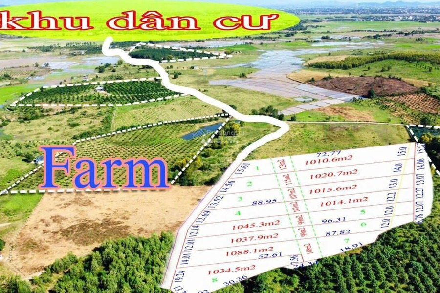 Giá bán phải chăng 200 triệu bán đất diện tích 1034m2 vị trí ngay ở Ninh Hòa, Khánh Hòa-01