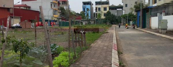 Đại Áng, Hà Nội 2.9 tỷ bán đất diện tích thực tế 50m2-03