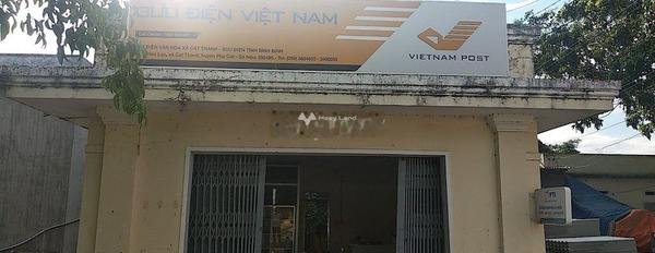 Giá bán giao lưu từ 1.7 tỷ bán đất tổng diện tích là 200m2 gần Phù Cát, Bình Định-03