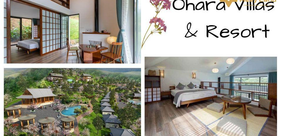 Cho thuê Ohara Villas & Resort