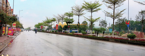 Bán đất có diện tích rộng 90 m2 Phía trong Từ Sơn, Bắc Ninh, hướng Nam-03