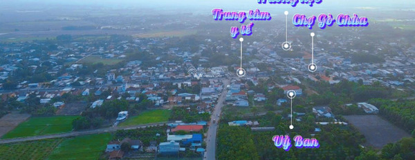 Gò Dầu, Tây Ninh bán đất giá đàm phán 3.25 tỷ, hướng Tây - Bắc diện tích thực 985m2-02