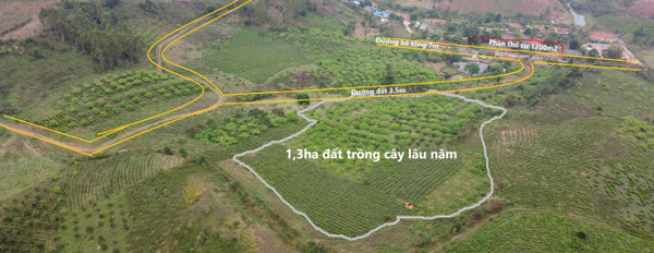 Cần bán lô đất tại Chiềng Sơn - Mộc Châu - Sơn La-02