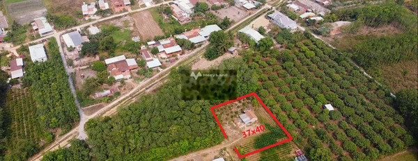 Đang làm ăn lớn bán mảnh đất, 1478m2 giá cực mềm 2.95 tỷ vị trí mặt tiền ngay tại Trảng Bàng, Tây Ninh giao thông đông đúc-03