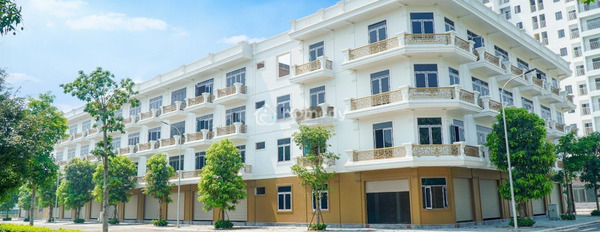 Có diện tích thực 90m2 bán shophouse gần Nguyễn Phục, Thanh Hóa bãi đậu xe rộng-03