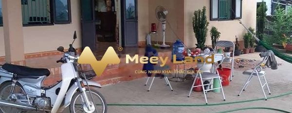 Bán nhà tại xã Hùng An, Bắc Quang, Hà Giang. Diện tích 1000m2, giá 900 triệu-03