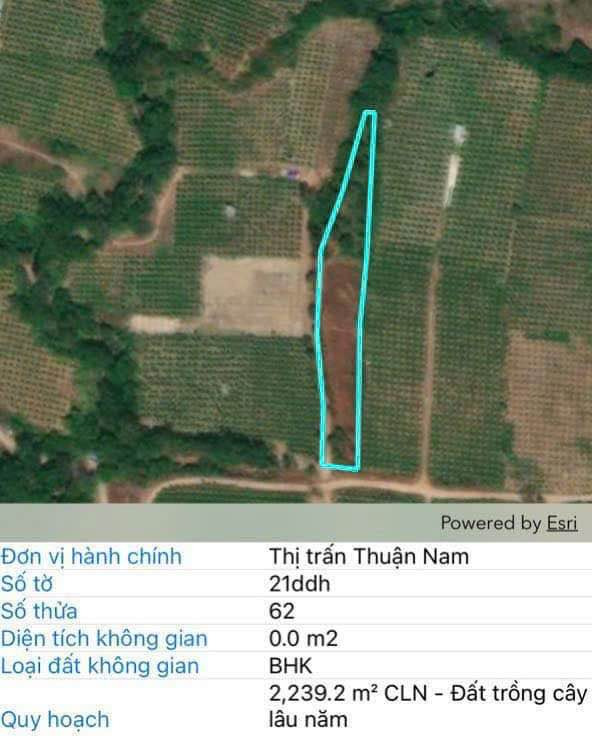 Bán đất quận 7 thành phố Hồ Chí Minh giá 249.0 triệu-0