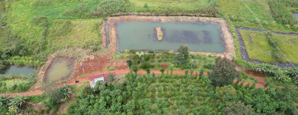 Khoảng 3.6 tỷ bán đất với diện tích tiêu chuẩn 30000m2 vị trí đặt tại Đắk Búk So, Đắk Nông-02