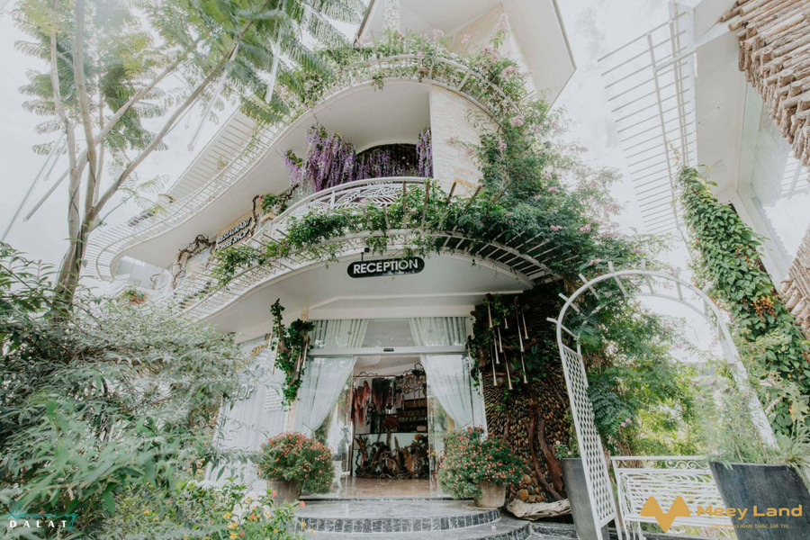 Cần bán khu biệt thự nghỉ dưỡng, kinh doanh khách sạn – nhà hàng, 5000m2 ngay trung tâm Đà Lạt-01