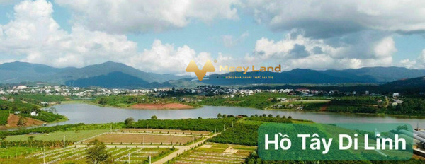 Vị trí đẹp tại Ngô Quyền, Di Linh bán đất diện tích rộng 120 m2-02