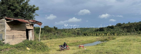 Chuyển định cư bán đất Thuận Hạnh, Đắk Nông giá bán rẻ bất ngờ chỉ 490 triệu diện tích đúng với trên ảnh 4000m2-02
