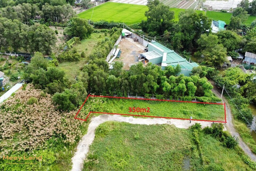 Bán lô đất vườn 350 m2, Mỹ Lộc, Long An, giá 1,26 tỷ-01
