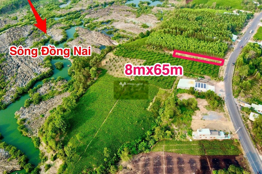 Bán khu đất 520m (8mx65m)mặt tiền đg 768, TT. Vĩnh An -01