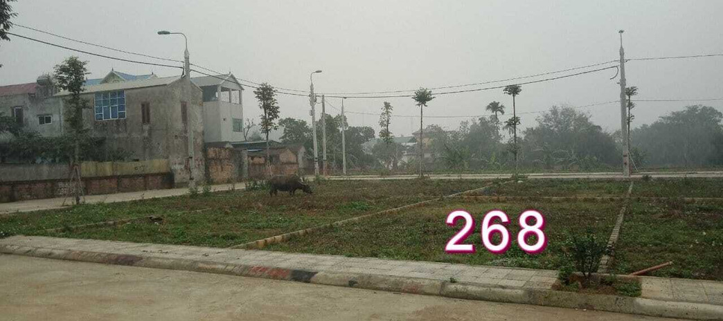 Đất nền Phú Mãn, cạnh khu công nghệ cao Hoà Lạc, 85m2, đường 9m, vỉa hè 1m