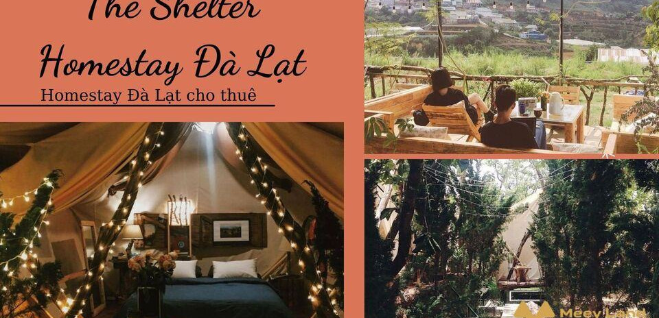 Cho thuê The Shelter Homestay Đà Lạt