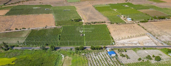 Hồng Liêm, Hàm Thuận Bắc bán đất giá bán thương lượng 289 triệu diện tích trong khoảng 1285m2-03