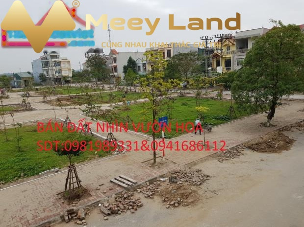 Bán đất với tổng diện tích 81m2 tọa lạc trên Bắc Ninh, Tỉnh Bắc Ninh