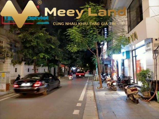 Bán nhà mặt phố Nguyễn Văn Ngọc, 73m2, 6 tầng-01