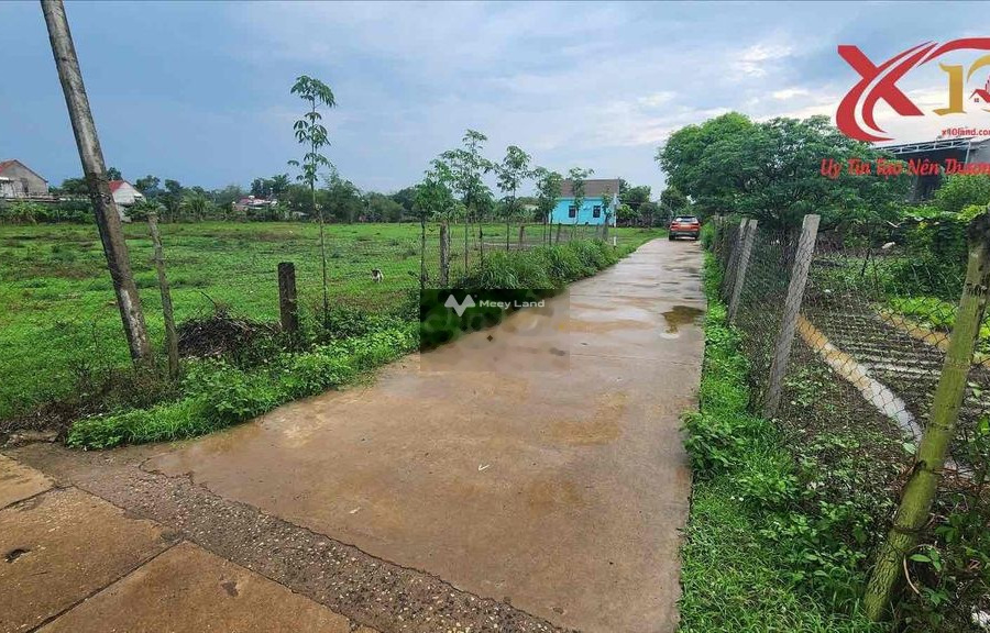 Bán đất có diện tích sàn 1215m2 vị trí tiện lợi ngay tại Xuân Đông, Đồng Nai-01