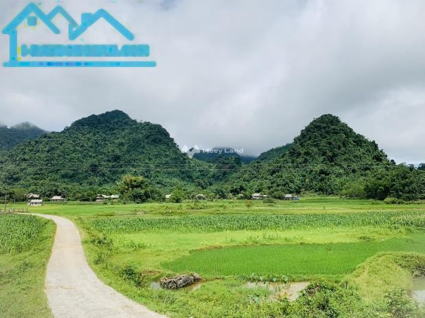 Bán đất 2 tỷ Mai Châu, Hòa Bình có diện tích chung 7500m2-01