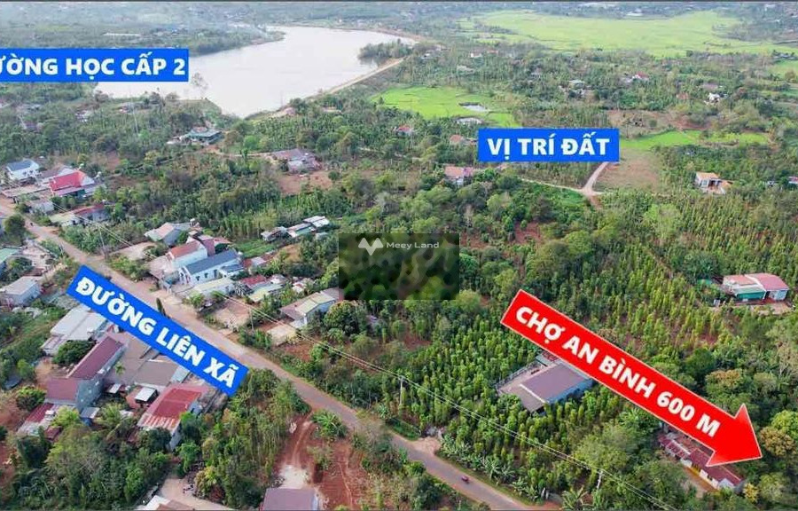 228 triệu bán đất diện tích khoảng là 204m2 vị trí mặt tiền tọa lạc ngay ở Ea Ning, Đắk Lắk-01
