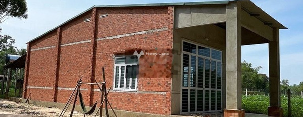 Diện tích khoảng là 5000m2 bán đất giá chốt nhanh từ 1 tỷ-03