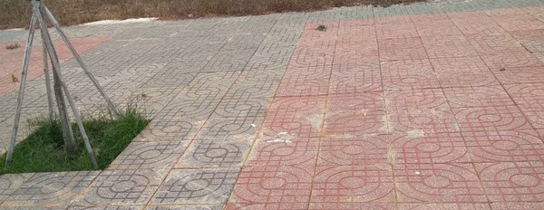 Bán đất mặt tiền đường nhà nước dẫn cao tốc Biên Hòa-Vũng Tàu, sổ sẵn không dính quy hoạch, Bà Rịa Vũng Tàu-03