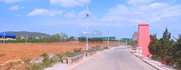 Ở Bồng Lai, Lâm Đồng bán đất 1.65 tỷ với diện tích 122m2-03