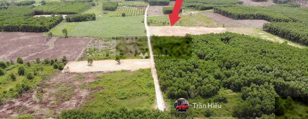 Giá bất ngờ 929.7 triệu bán đất có diện tích là 1033m2 mặt tiền nằm ngay tại Diên Đồng, Diên Khánh, hướng Tây-03
