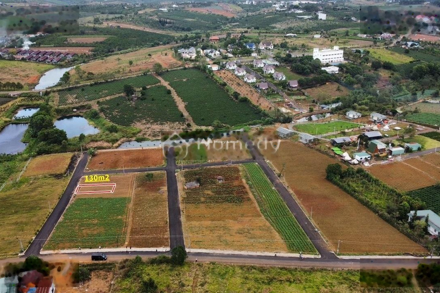 Tại Lộc Tân, Bảo Lâm bán đất 450 triệu diện tích trong khoảng 130m2-01