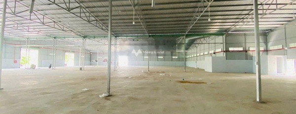 Mình muốn cho thuê kho bãi có diện tích chuẩn 1000m2 tọa lạc tại Mai Chí Thọ, Phú Thứ thuê ngay với giá khủng 65 triệu/tháng khu vực tiềm năng-03