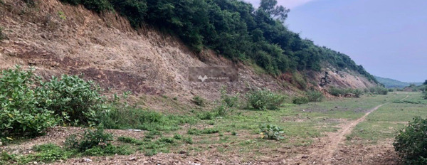 Do khó khăn về tài chính bán mảnh đất, 60000m2 giá êm chỉ 7.2 tỷ mặt tiền tọa lạc ngay trên Ninh Phước, Ninh Hòa không tiếp trung gian-03