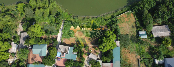 Bán đất view hồ và view đồng giá rẻ tại Hòa Thạch, xã Hòa Thạch, huyện Quốc Oai, Hà Nội-03
