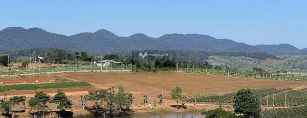 Đạm Bri, Lâm Đồng bán đất giá mong muốn chỉ 450 triệu diện tích chuẩn là 100m2-02