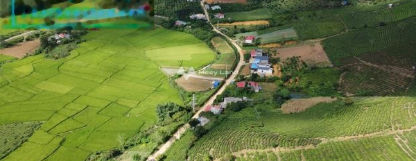 Vị trí đặt ngay trên Mộc Châu, Sơn La bán đất giá mua ngay 2 tỷ diện tích thực là 468m2-02