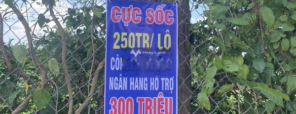 Giá bán giao động từ 550 triệu, Bán đất diện tích chuẩn 120m2 vị trí ngay ở Phường 1, Hồ Chí Minh, hướng Đông Bắc lh tư vấn thêm-02
