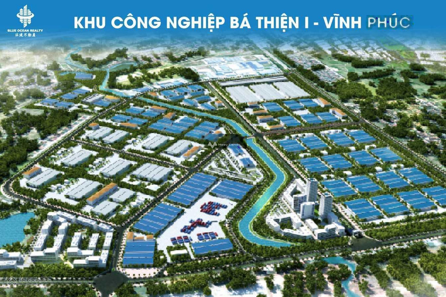 Cần mở công ty bán đất Bình Xuyên, Vĩnh Phúc giá rẻ bất ngờ 5.3 tỷ với diện tích là 100m2-01