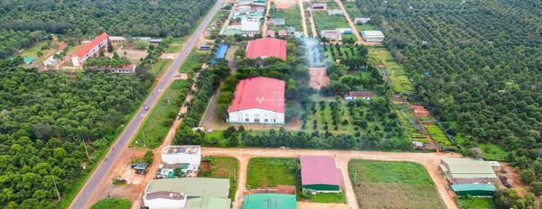 630 triệu bán đất diện tích là 100m2 nằm tại Ea Yông, Đắk Lắk-03