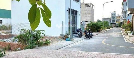 Bán đất Bình Tân, Hồ Chí Minh Diện tích nền 12m2-02