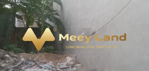 Mặt tiền nằm ngay trên Thượng Phúc, Tả Thanh Oai bán đất, giá cực sốc từ 1.28 tỷ có dt thực 34m2-03