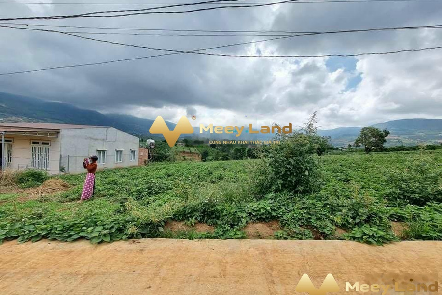 Bán mảnh đất tại ĐT725, Lâm Đồng. Diện tích 600m2, giá 780 triệu-01
