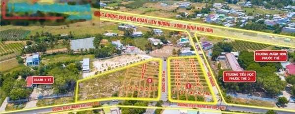 Vị trí mặt tiền tọa lạc ngay trên Tuy Phong, Bình Thuận bán đất, giá bán rẻ từ 1.15 tỷ, hướng Tây diện tích chuẩn là 200m2-03