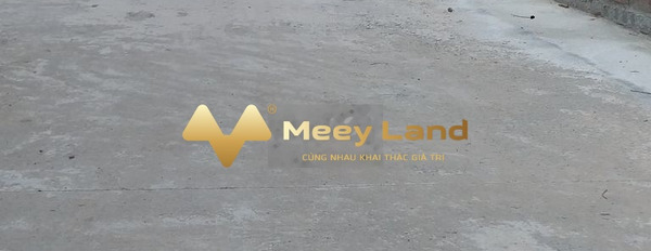 Vị trí đặt tọa lạc tại Liên Thôn, Hưng Yên bán đất giá cực tốt chỉ 1.03 tỷ dt tổng 345 m2-02