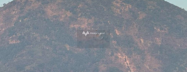 Đất ngộp 529m2/420tr ở trung tâm TP Tây Ninh,dưới chân núi Bà Đen -03