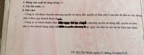 Do cần gấp tiền bán đất Bình Hưng, Bình Chánh giá bán cực kì tốt 5.6 tỷ diện tích là 100m2-03