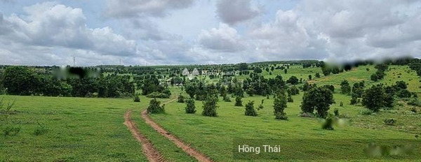 Khoảng từ 178 triệu bán đất diện tích rộng là 593m2 vị trí mặt tiền tại Hòa Thắng, Bắc Bình-02