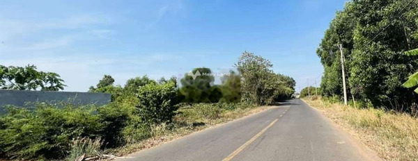 680 triệu bán đất Có tổng diện tích 280m2 vị trí đặt gần Đồng Tâm, Bình Phước-02