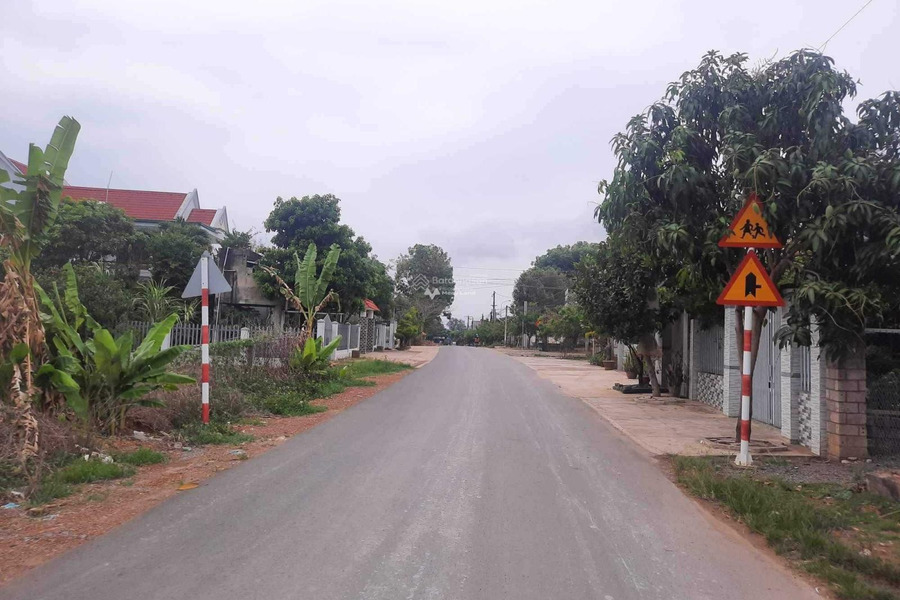 Tại Phú Ngọc, Định Quán bán đất 730 triệu diện tích như sau 100m2-01