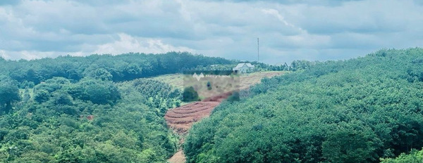 Ở Long Bình, Bình Phước bán đất 379 triệu, hướng Đông Bắc diện tích đúng với trên ảnh 8999m2-02