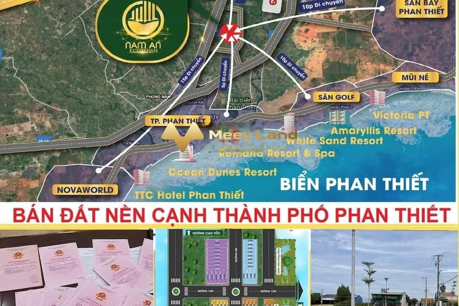 Bán đất diện tích chung 100 m2 vị trí tốt ngay Đường Xoài Quỳ, Tỉnh Bình Thuận-01